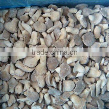 Chinese IQF frozen oyster mushroom