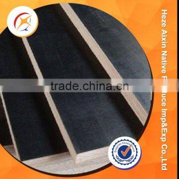 18mm Thickness Film Faced Plywood