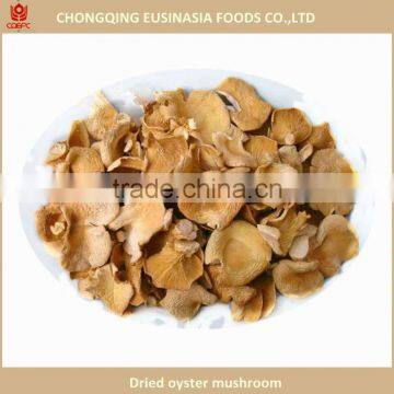 dry oyster mushroom