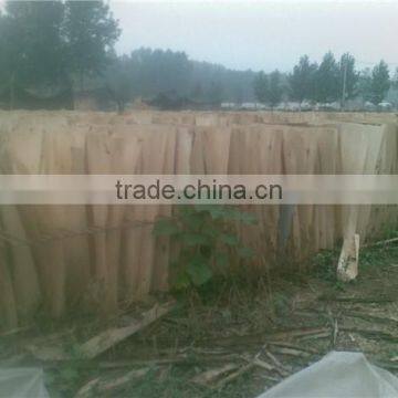 Automatic Wood Venner Peeling Lathe/veneer Rotary Peeling Lathe/plywood Core Venner Machine With High Efficiency photo-6