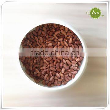 JSX New Arrival Light Speckled Kidney Beans Market Price photo-6