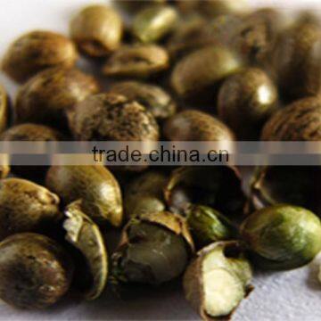 Wholesale Organic Hemp Seed Oil From GMP Factory photo-4