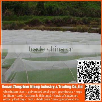 Best Selling Hdpe With uv Greenhouse Insect Net , Plastic Agriculture pe Anti-insect Net , Nylon Insect Net With Low Price photo-4