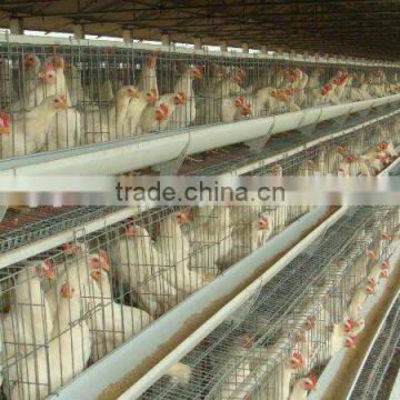 Poultry cages