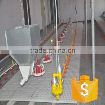 best quality automatic feeder and drinker for poultry farm