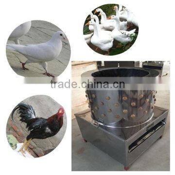 Golden Supplier Poultry Hair Removal Machine Manufacturer photo-5
