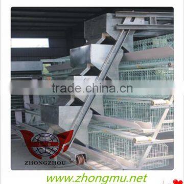 poultry equipment automatic chicken feeding machine