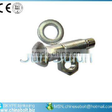 ASTM A325 TC Bolt