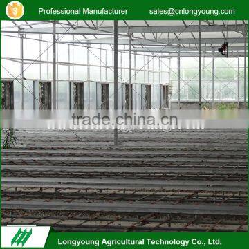 Latest design roof ventilation system anti-fragile polycarbonate greenhouse