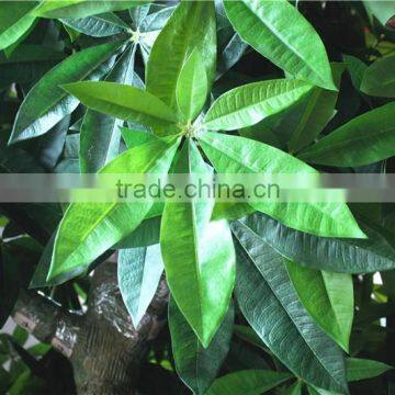 Home Garden Creepers Decoration 180cm Height Artificial Green Pachira Aquatica Tree EFCS05 2902 photo-4