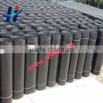 Plastic HDPE Dimple Waterproof Drainage Board With Good Price photo-6