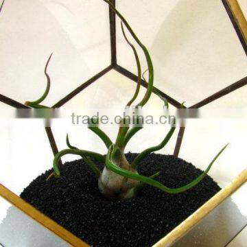 Gold Wedding Crystal Garden Glass Geometric Terrarium photo-5