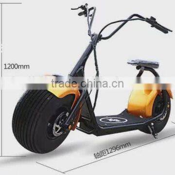 2017 Zhejiang manufacturer citycoco with front &rear suspension&Disc brakes&LCD display electric bike 48V