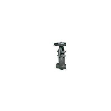 Pressure-seal gate valve