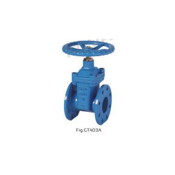 BS5163 PN10/PN16/PN25 NRS RESILIENT SEAT GATE VALVE