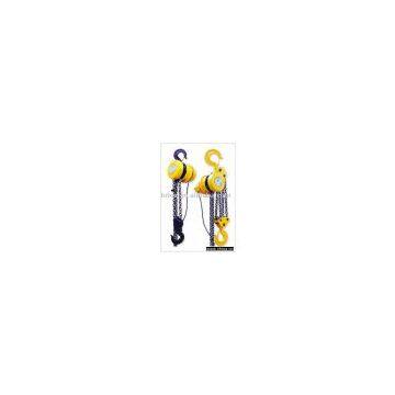 Endless chain electric hoist