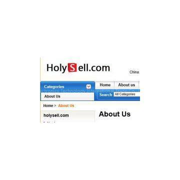 holysell Electronics Technology International Trade Co., Ltd