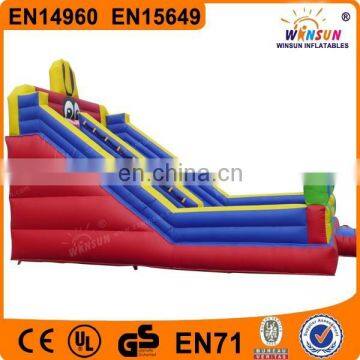 2015 China Newest Inflatable Water Slide for Adult and Kids on Sale photo-5