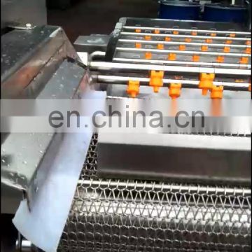 high effiency fruit washer vegetable washing machine fruit washer price