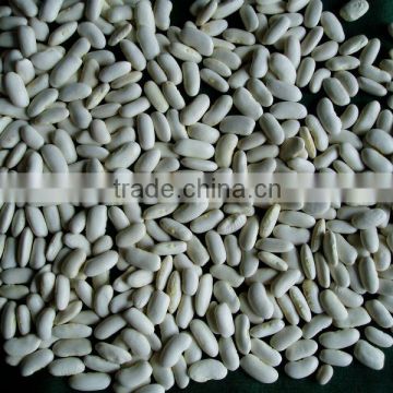 Medium White Kidney Beans