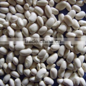 Japanese White Kidney Beans