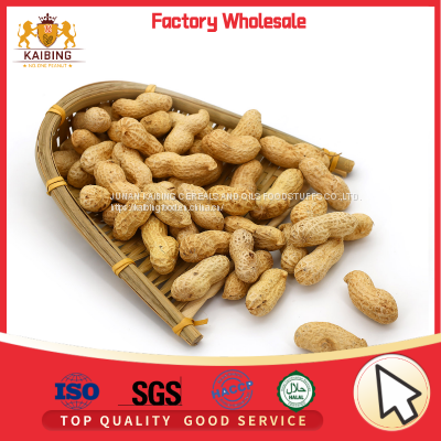 BLANCHED GROUNDNUT KERNEL AT VERY GOOD PRICE BUT HIGH QUALITY photo-5