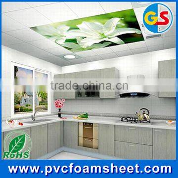 Environmental PVC Foam Sheet / Clear PVC Sheet 7mm photo-2