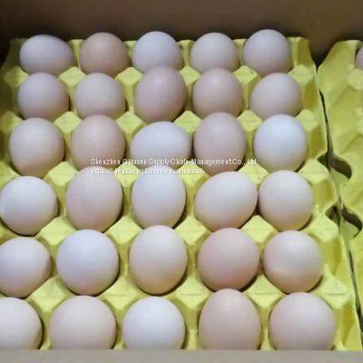 Fresh Eggs for Hong Kong Market photo-3
