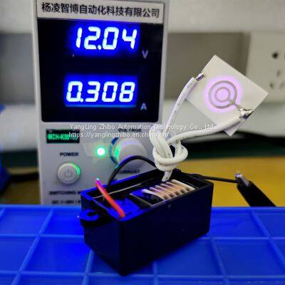 12V-100mg Ozone generator Ozone Sterilizer Accessories