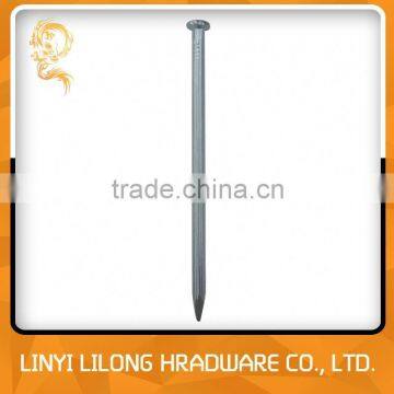 Galvanized Grooved Shank Concrete Steel Nail photo-4