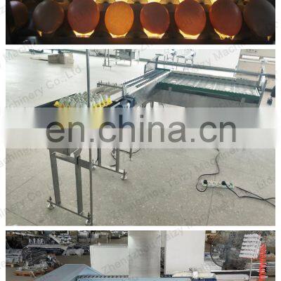 Commercial Egg Sorting Machine Small Egg Grader With Accumulator Lifter Egg Grading Machine photo-2