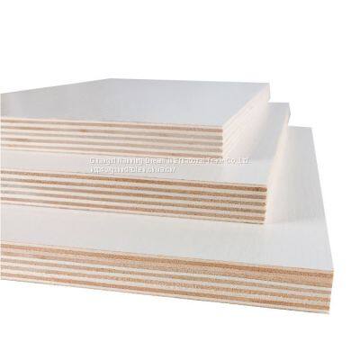 China Furniture Plywood