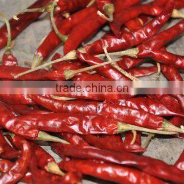 Indian dried chili with stem 334