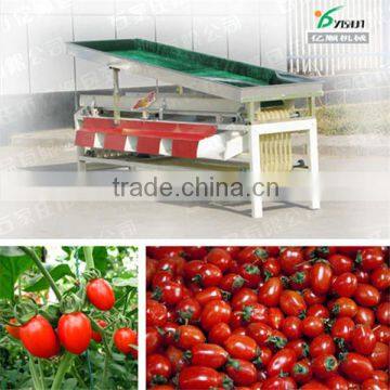 Cherry tomato grading machine YSXT-1C
