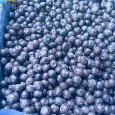 Different Varieties of High Quality IQF Frozen Blueberries photo-3