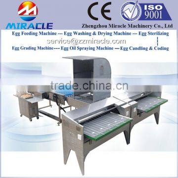 Chicken eggs graded & sorted machines by weight, egg picking and grading 6 levels