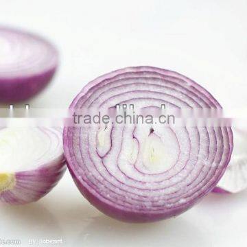 Dehydrated Red Onion Powder Prices 100% High Quality Factory Supply