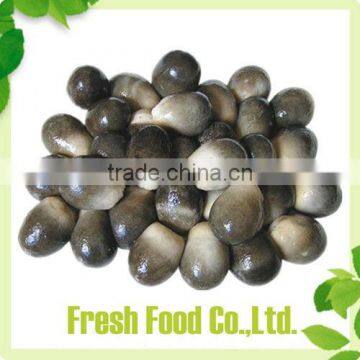 Canned Mushroom Price photo-3