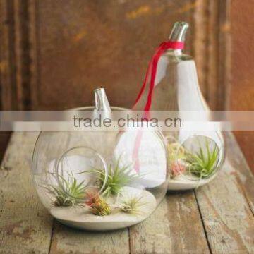 Hanging Water Apple Shaped Glass Vase, Air Plant Terrarium, Flat Bottom,