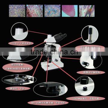 Optical Microscope With Camera/ Stereo Microscope /stereo Microscope With LED photo-3