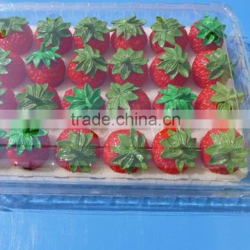 Punnet Clamshell Blister Plastic packaging container 500 gram