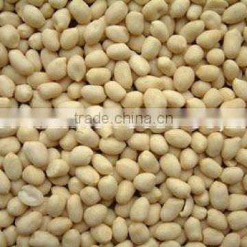 blanched peanut kernels