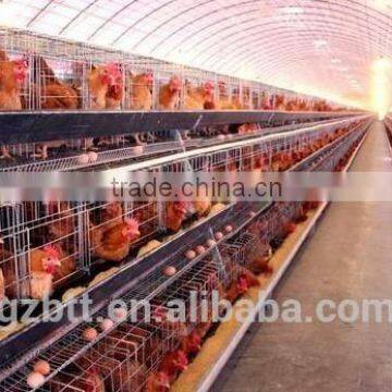 Durable and tidy hen cages