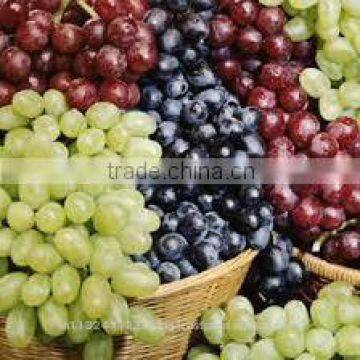 Black Grapes ,White Grapes,Seedless Grapes Exporter