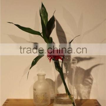 Newest selling high quality home decoration different types of glass vases