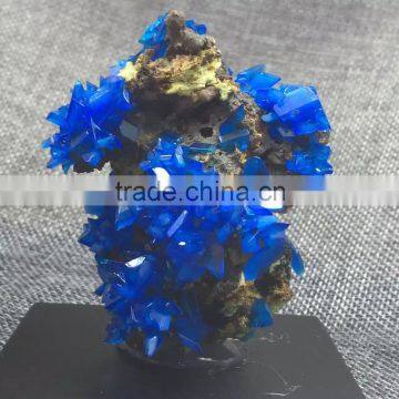 Natural Azurite Mineral Rough Stone Ornament Crystal Specimen For Sale