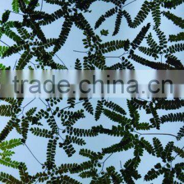 Decorative Floral Translucent Acrylic Ceiling Panel