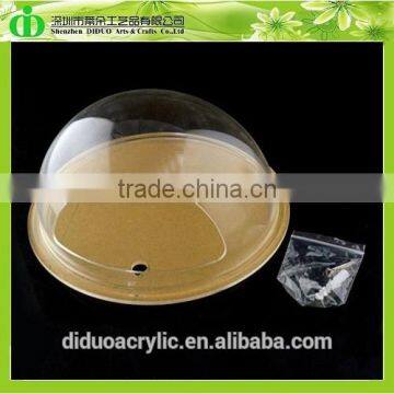 DDT-0069 Trade Assurance Aquarium Fish Price