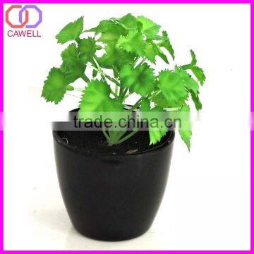 succulent silk plants