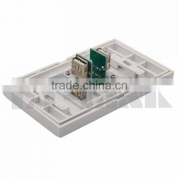 Dual Ports USB Female to Female Wall Plate Support Customization